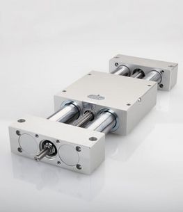 Linear unit with ball screw drive